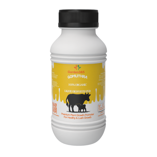 Gomutra – Natural (cow ) (100 ML) 🐄💧 - Garden365