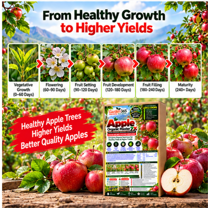 Apple Organic Master 7X Crop-Specific Organic Fertilizer Water Soluble Organic Fertilizer