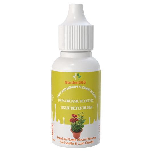Chrysanthemum Flower Bloom – Organic Bio Fertilizer for Chrysanthemum (50 ml | Buy 1 Get 2 Free!) - Garden365