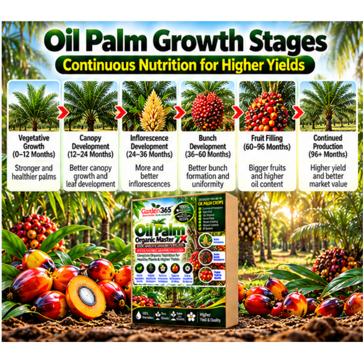 Oil Palm Organic Master 7X Crop-Specific Organic Fertilizer Water Soluble Organic Fertilizer