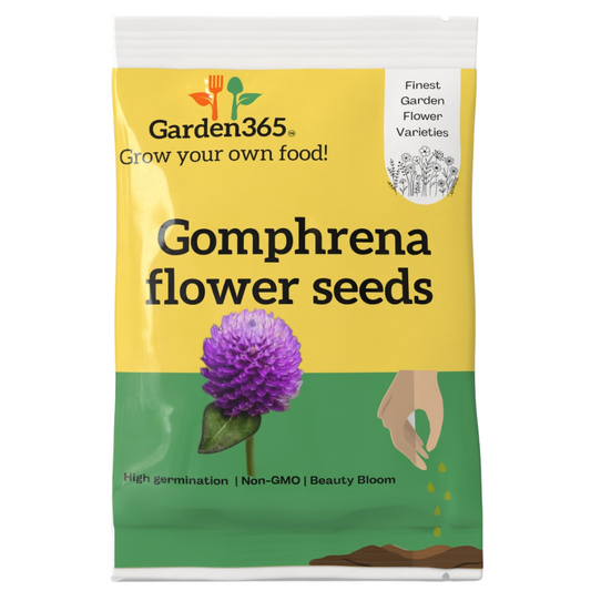 Gomphrena (Globe Amaranth) Flower Seeds - Garden365