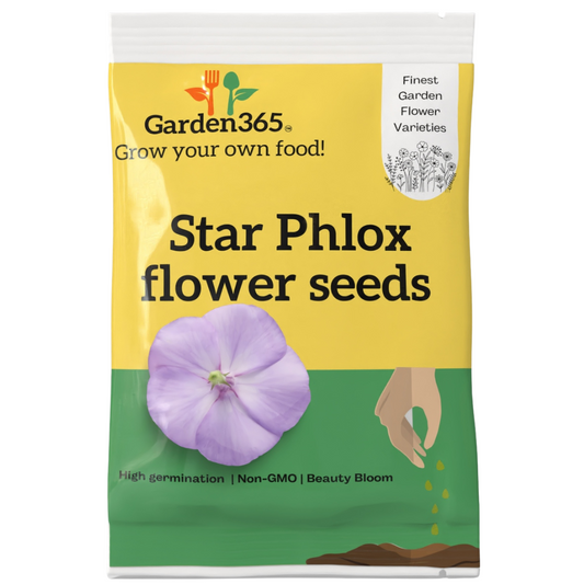 Star Phlox Flower Seeds - Garden365