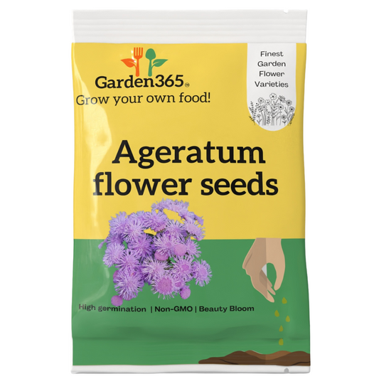 Ageratum Flower Seeds - Garden365
