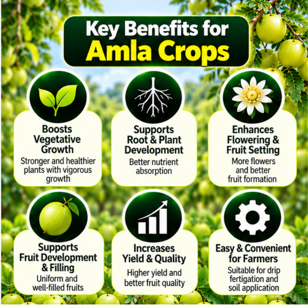 Amla Organic Master 7X Crop-Specific Organic Fertilizer Water Soluble Organic Fertilizer