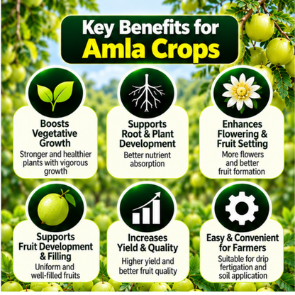 Amla Organic Master 7X Crop-Specific Organic Fertilizer Water Soluble Organic Fertilizer