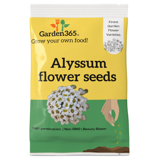 Alyssum Flower Seeds - Garden365