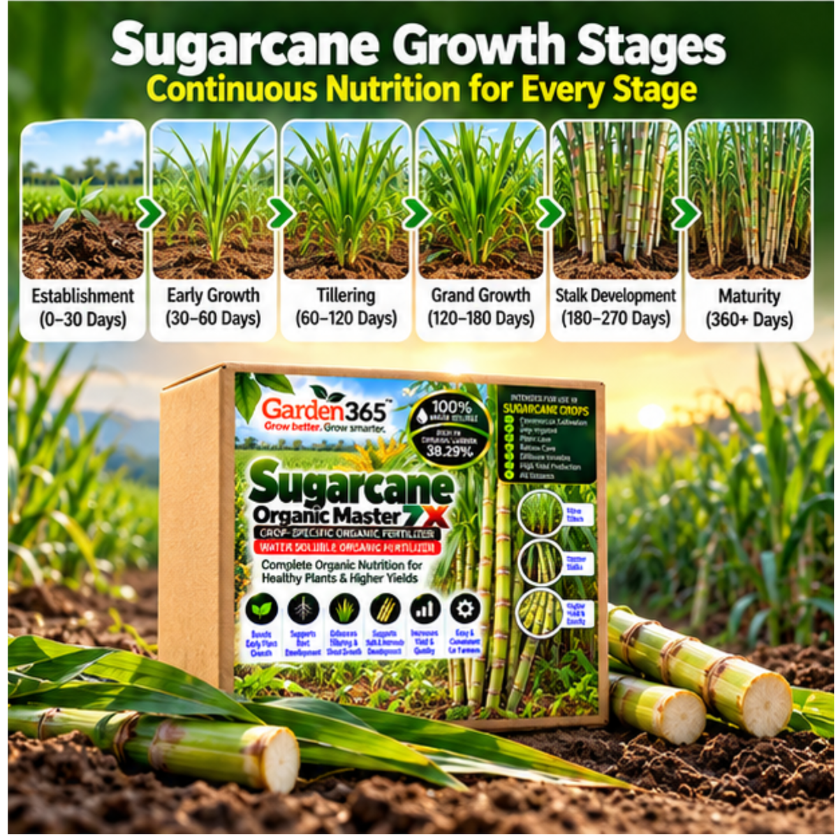 Sugarcane Organic Master 7X Crop-Specific Organic Fertilizer Water Soluble Organic Fertilizer