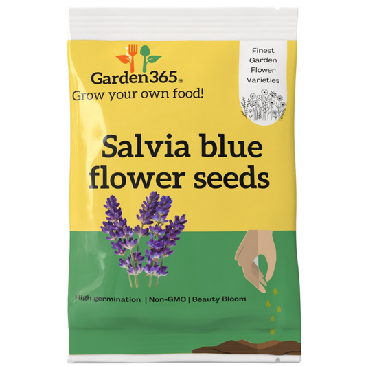 Salvia Blue Flower Seeds - Garden365
