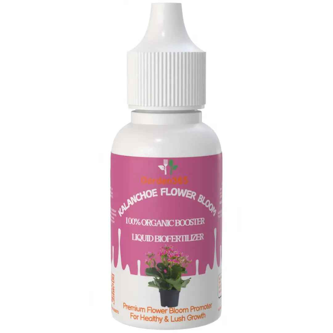 fertilizer for kalanchoe plant Kalanchoe Flower Bloom – Organic Bio Fertilizer for Kalanchoe 50 ml –  Garden365