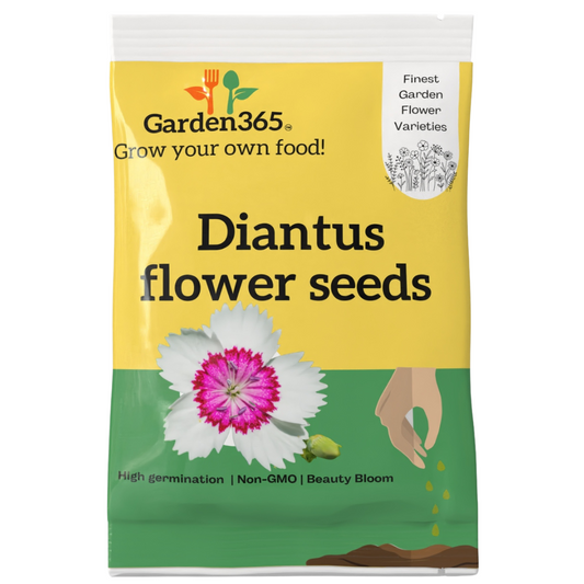 Dianthus Flower Seeds - Garden365