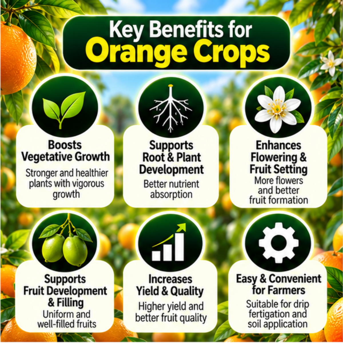 Orange Organic Master 7X Crop-Specific Organic Fertilizer Water Soluble Organic Fertilizer