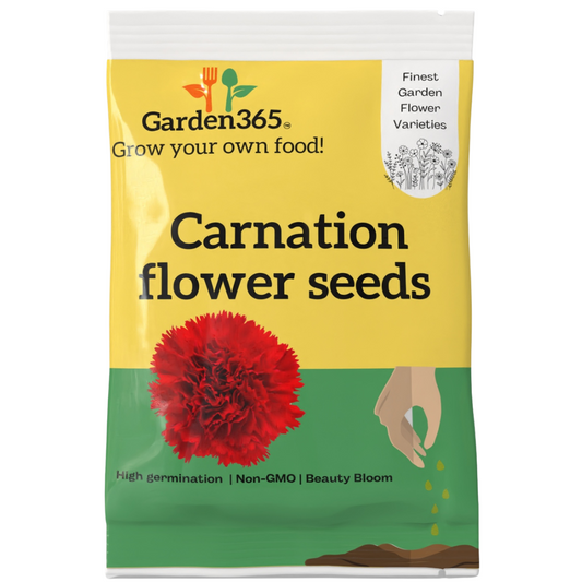 Carnation Flower Seeds - Garden365