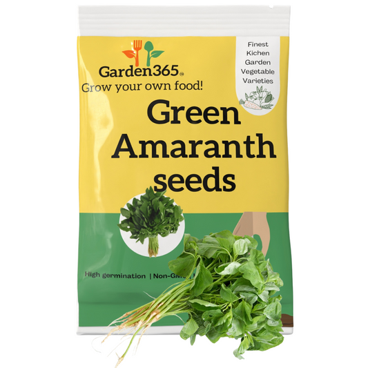 Organic Heirloom Green Amaranth Seeds (Chaulai / Thotakura) - Garden365