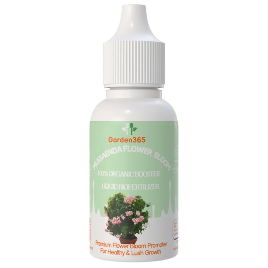 Mussaenda Flower Bloom – Organic Bio Fertilizer for Mussaenda (50 ml | Buy 1 Get 2 Free!) - Garden365