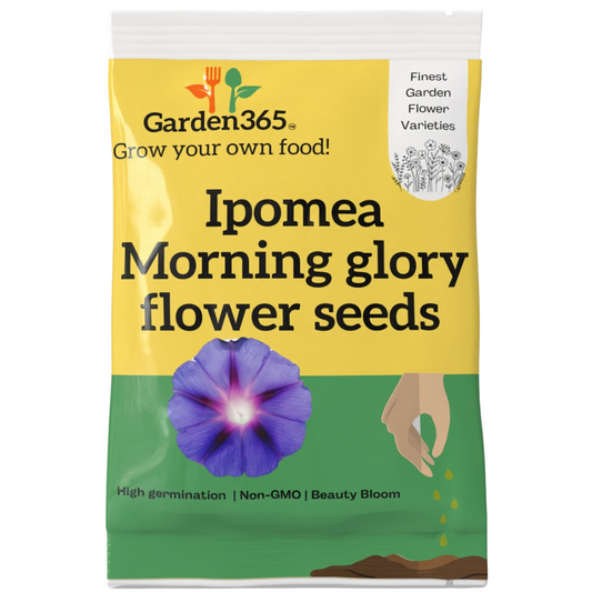 Ipomoea (Morning Glory) Flower Seeds - Garden365