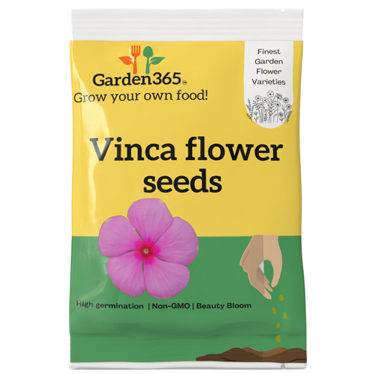 Vinca Flower Seeds - Garden365