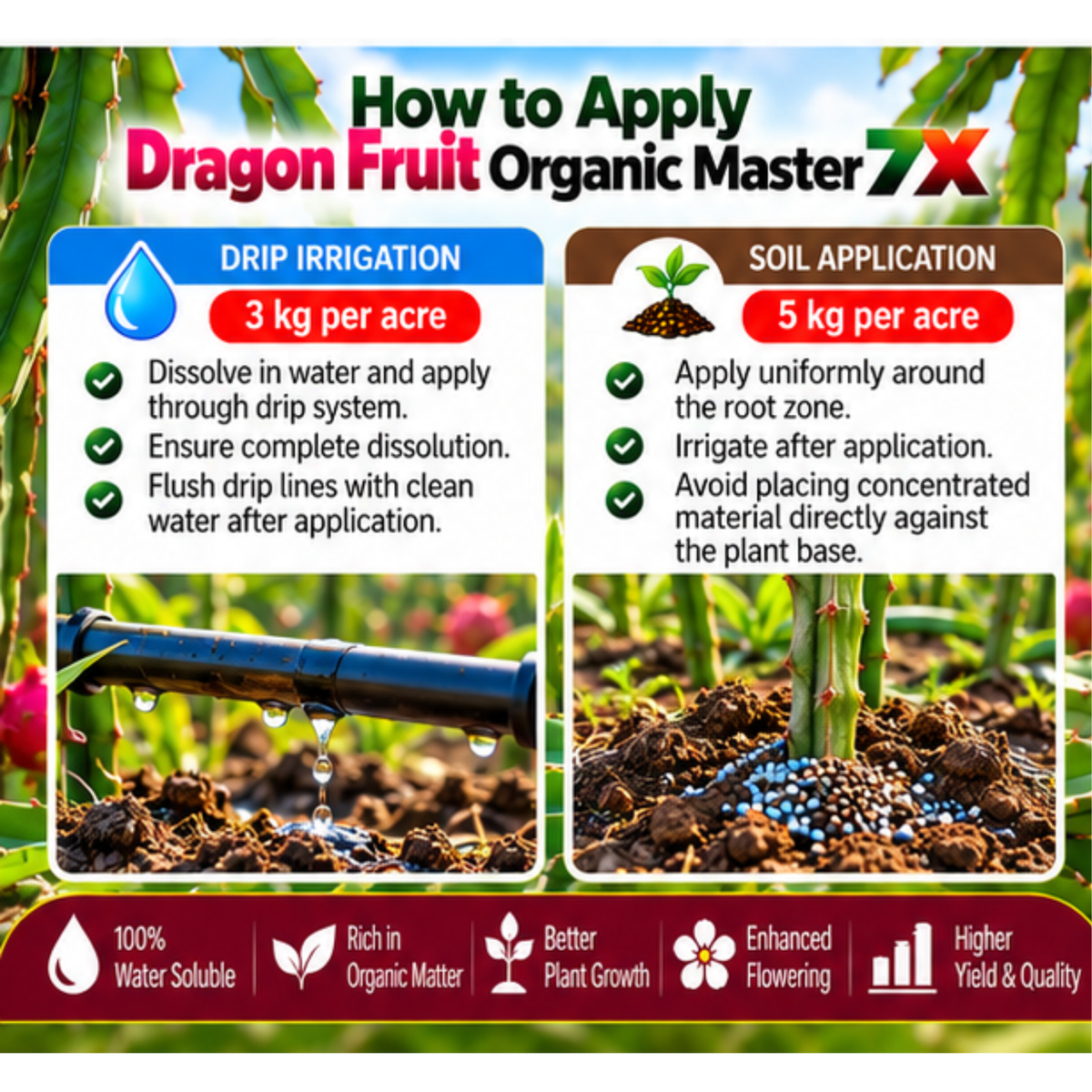 Dragon Fruit Organic Master 7X Crop-Specific Organic Fertilizer Water Soluble Organic Fertilizer