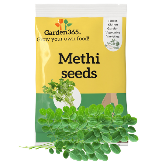 Organic Heirloom Methi (Fenugreek) Seeds - Garden365