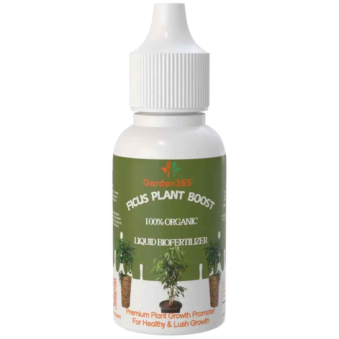 fertilizer for ficus plant Ficus Plant Boost – Organic Bio Fertilizer for Ficus Plants 50 ml