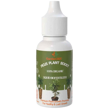 Ficus Plant Boost – Organic Bio Fertilizer for Ficus Plants 50 ml | Makes upto 10 Ltr