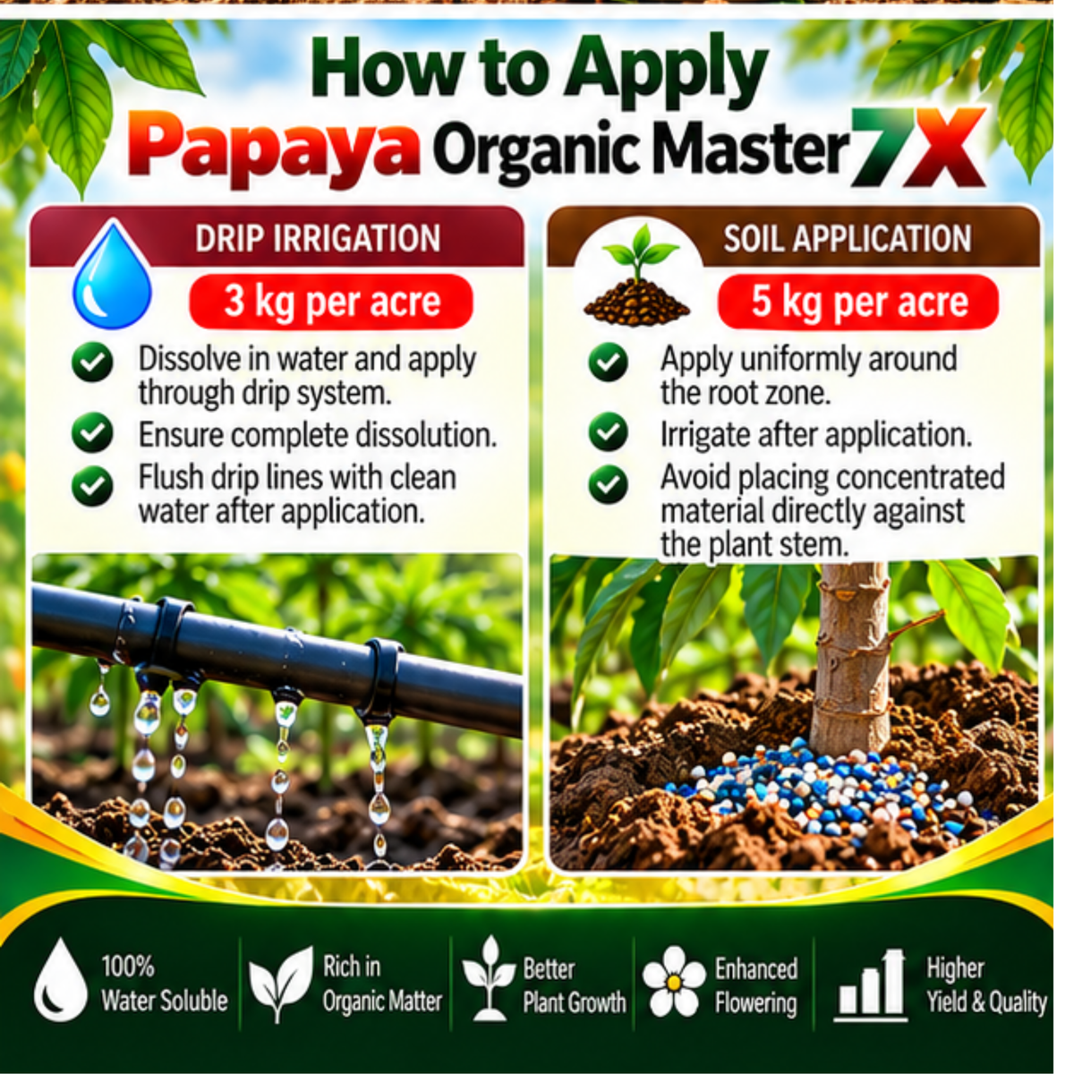 Papaya Organic Master 7X Crop-Specific Organic Fertilizer Water Soluble Organic Fertilizer