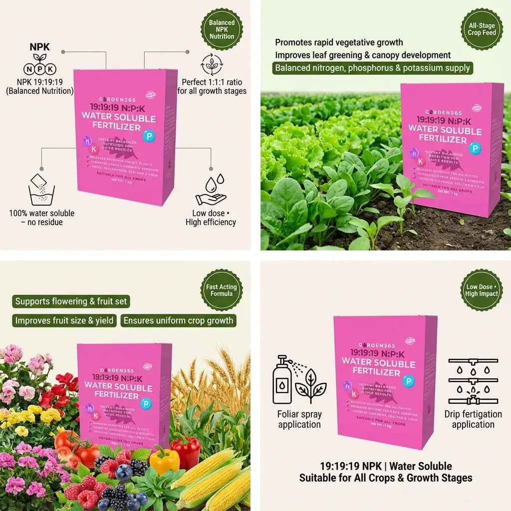 19:19:19 – NPK Water Soluble Fertilizer for Overall Crop Growth
