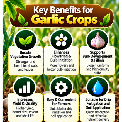 Garlic Organic Master 7X Crop-Specific Organic Fertilizer Water Soluble Organic Fertilizer