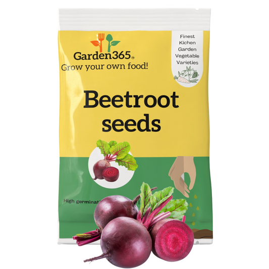 Organic Heirloom Beetroot Seeds - Garden365