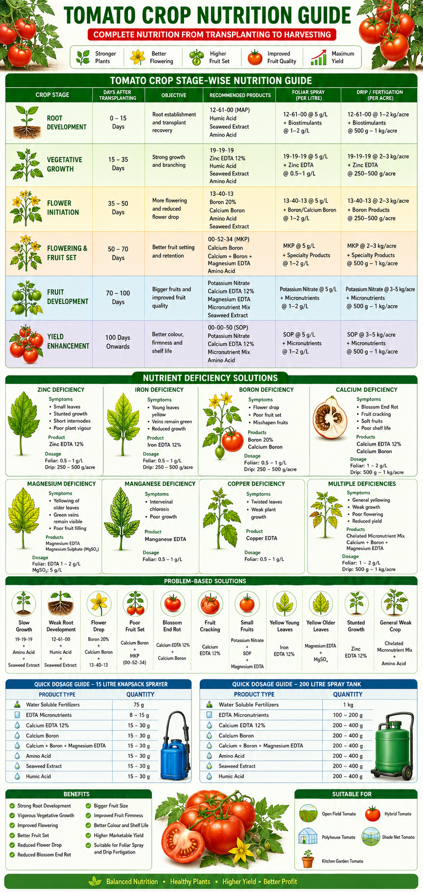 Tomato Crop Nutrition | Fertilizers, Micronutrients & Biostimulants for Tomato Crop