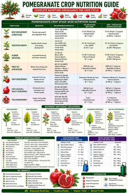Pomegranate Crop Nutrition | Fertilizers, Micronutrients & Biostimulants for Pomegranate Crop