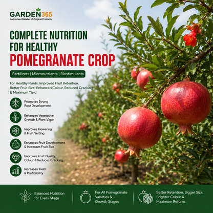 Pomegranate Crop Nutrition | Fertilizers, Micronutrients & Biostimulants for Pomegranate Crop