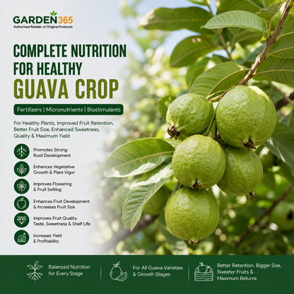 Guava Crop Nutrition | Fertilizers, Micronutrients & Biostimulants for Guava Crop