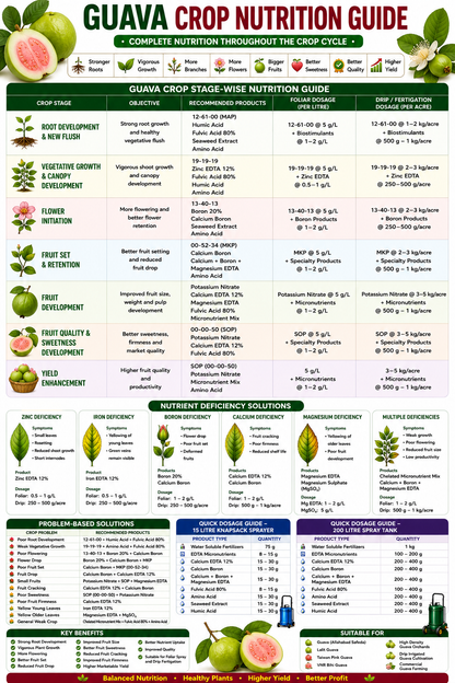 Guava Crop Nutrition | Fertilizers, Micronutrients & Biostimulants for Guava Crop