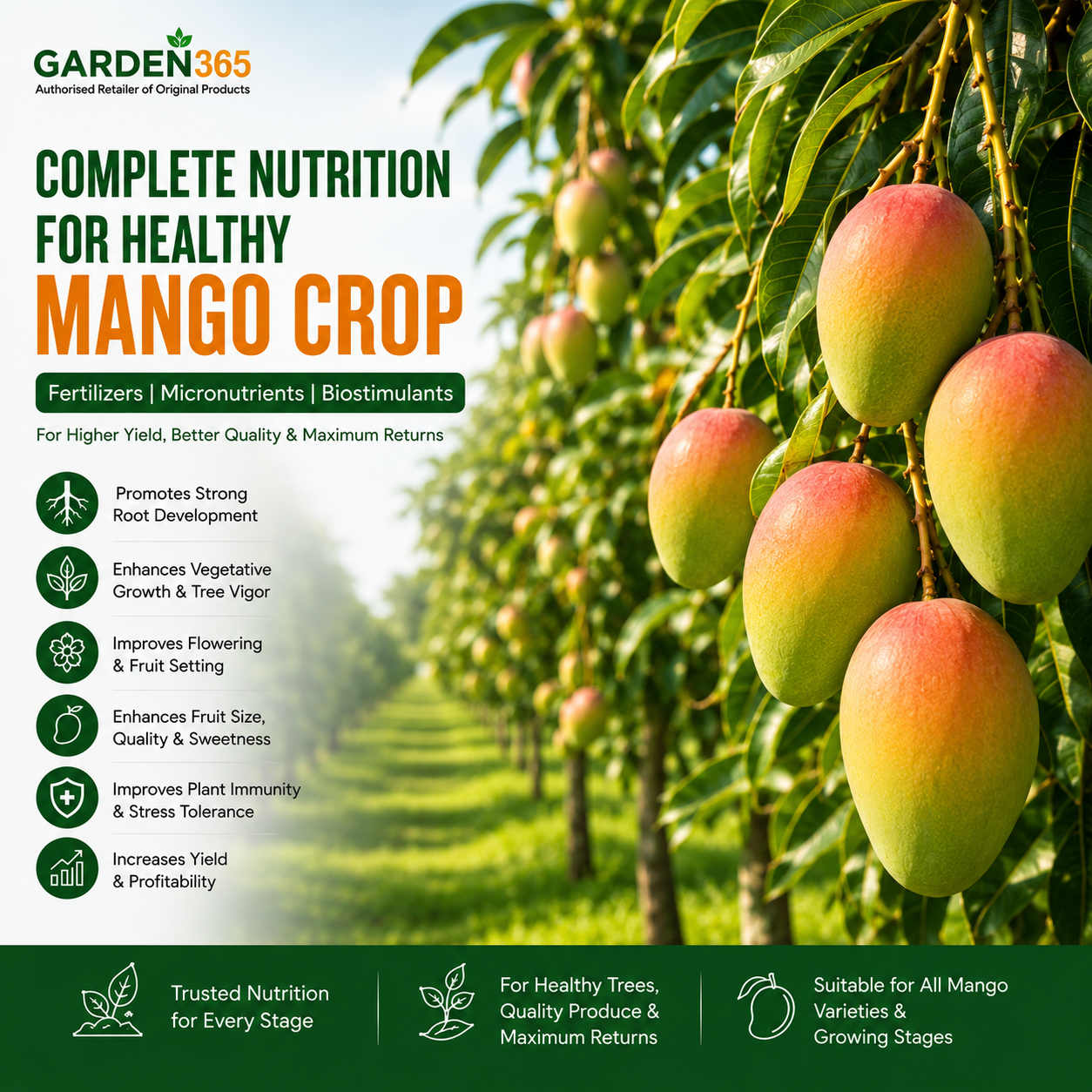 Mango Crop Nutrition | Fertilizers, Micronutrients & Biostimulants for Mango Crop