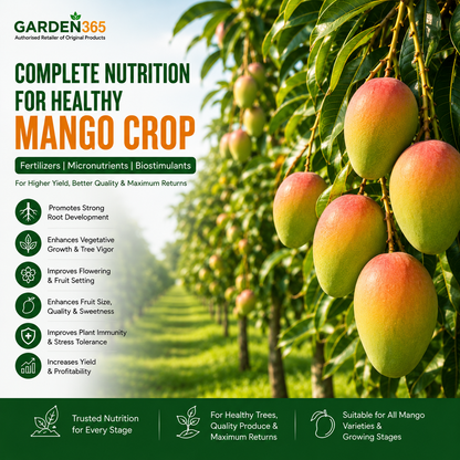 Mango Crop Nutrition | Fertilizers, Micronutrients & Biostimulants for Mango Crop