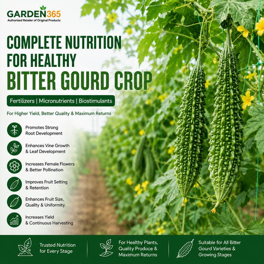 Bitter Gourd Crop Nutrition | Fertilizers, Micronutrients & Biostimulants for Bitter Gourd Crop