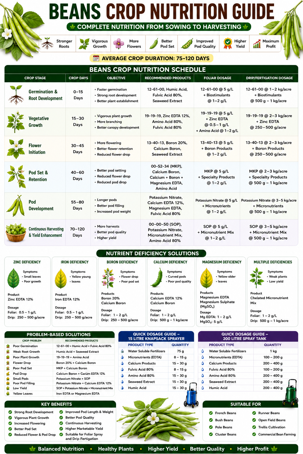 Beans Crop Nutrition | Fertilizers, Micronutrients & Biostimulants for Beans Crop