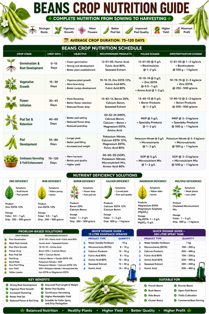 Beans Crop Nutrition | Fertilizers, Micronutrients & Biostimulants for Beans Crop
