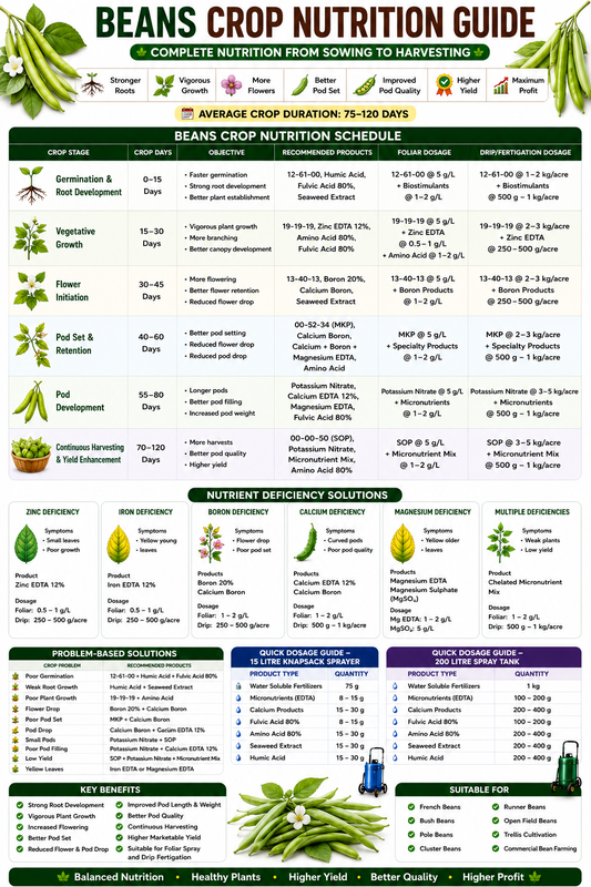 Beans Crop Nutrition | Fertilizers, Micronutrients & Biostimulants for Beans Crop