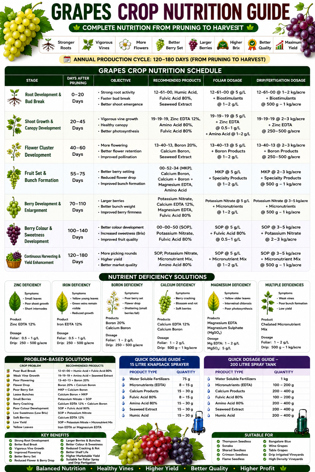 Grapes Crop Nutrition | Fertilizers, Micronutrients & Biostimulants for Grapes Crop