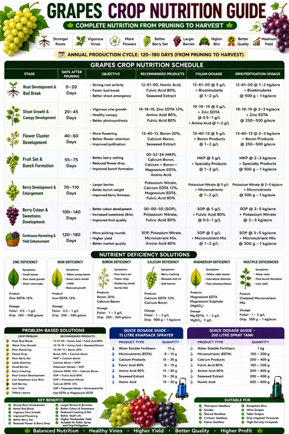 Grapes Crop Nutrition | Fertilizers, Micronutrients & Biostimulants for Grapes Crop