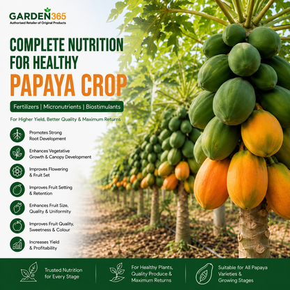 Papaya Crop Nutrition | Fertilizers, Micronutrients & Biostimulants for Papaya Crop