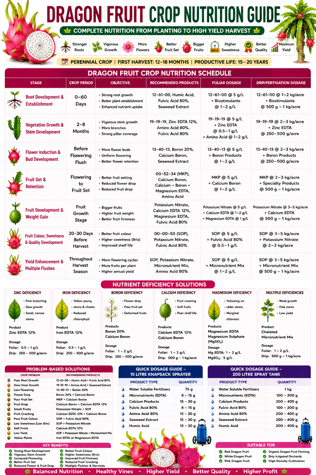 Dragon Fruit Crop Nutrition | Fertilizers, Micronutrients & Biostimulants for Dragon Fruit Crop