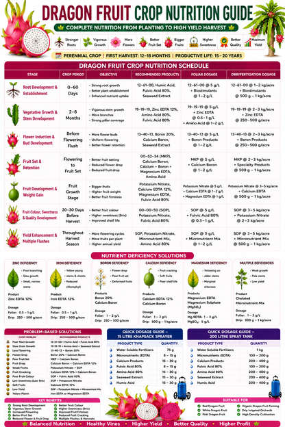 Dragon Fruit Crop Nutrition | Fertilizers, Micronutrients & Biostimulants for Dragon Fruit Crop