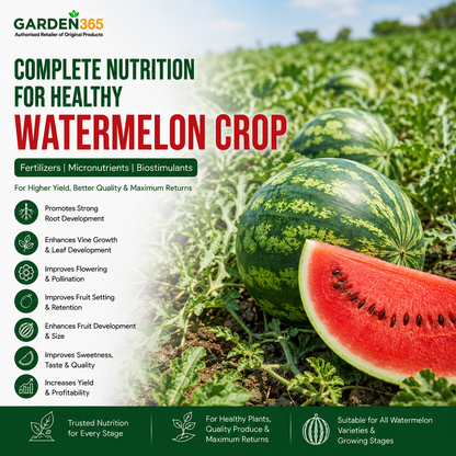 Watermelon Crop Nutrition | Fertilizers, Micronutrients & Biostimulants for Watermelon Crop  Provide your watermelon crop with complete nutrition from sowing to harvesting. Browse fertilizers, micronutrients, and biostimulants recommended for root develop