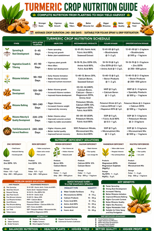 Turmeric Crop Nutrition | Fertilizers, Micronutrients & Biostimulants for Turmeric Crop