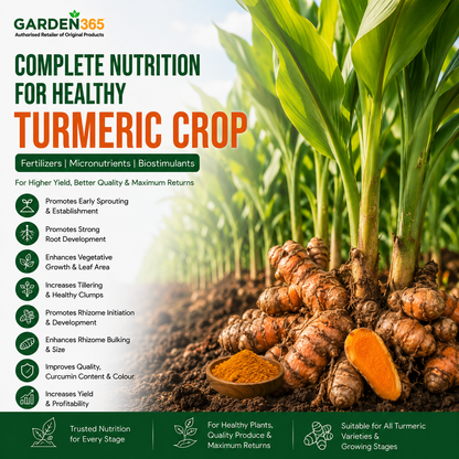 Turmeric Crop Nutrition | Fertilizers, Micronutrients & Biostimulants for Turmeric Crop