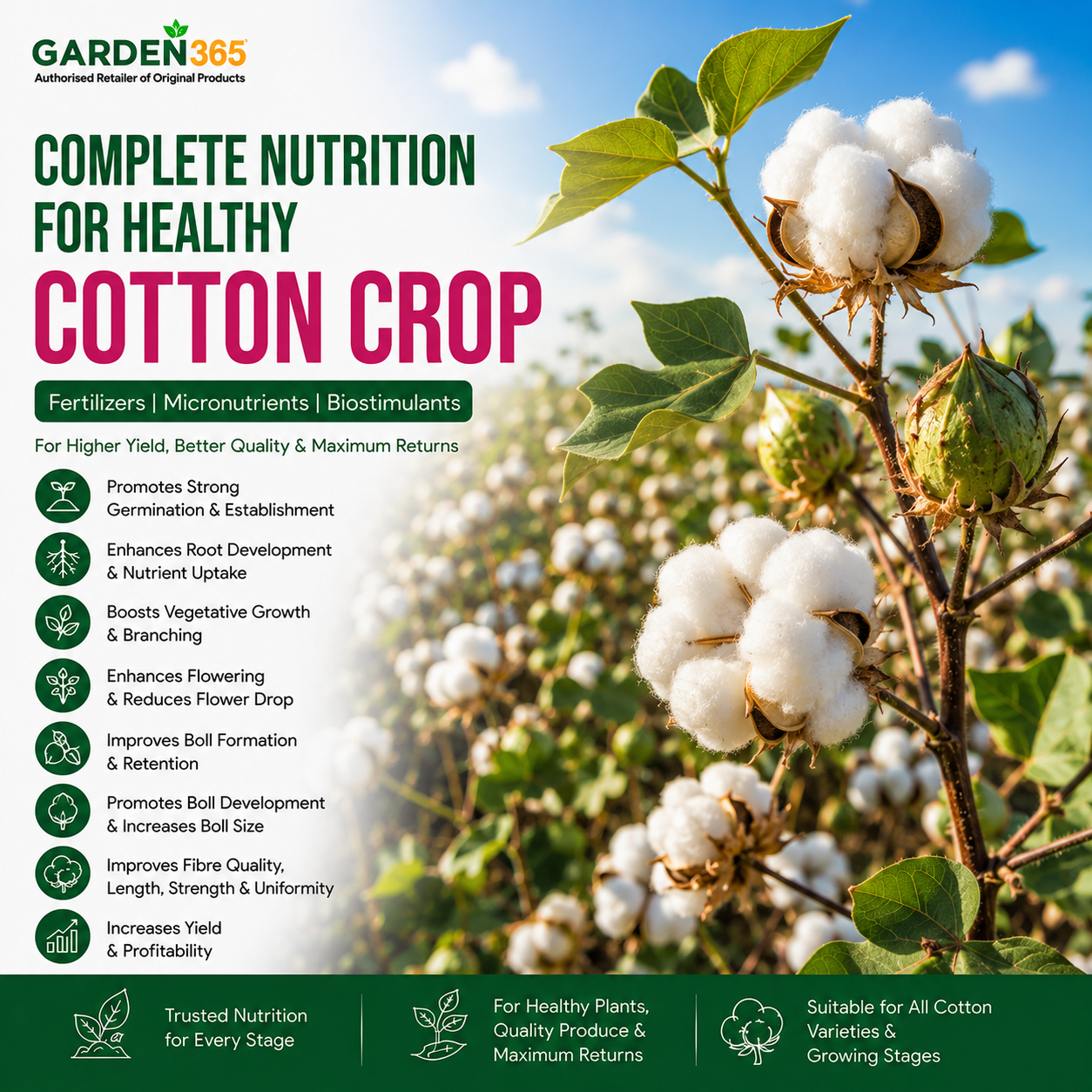 Cotton Crop Nutrition | Fertilizers, Micronutrients & Biostimulants for Cotton Crop
