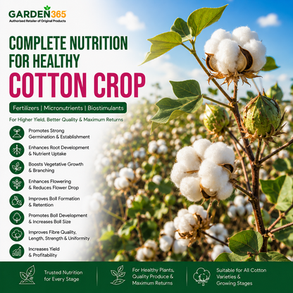 Cotton Crop Nutrition | Fertilizers, Micronutrients & Biostimulants for Cotton Crop