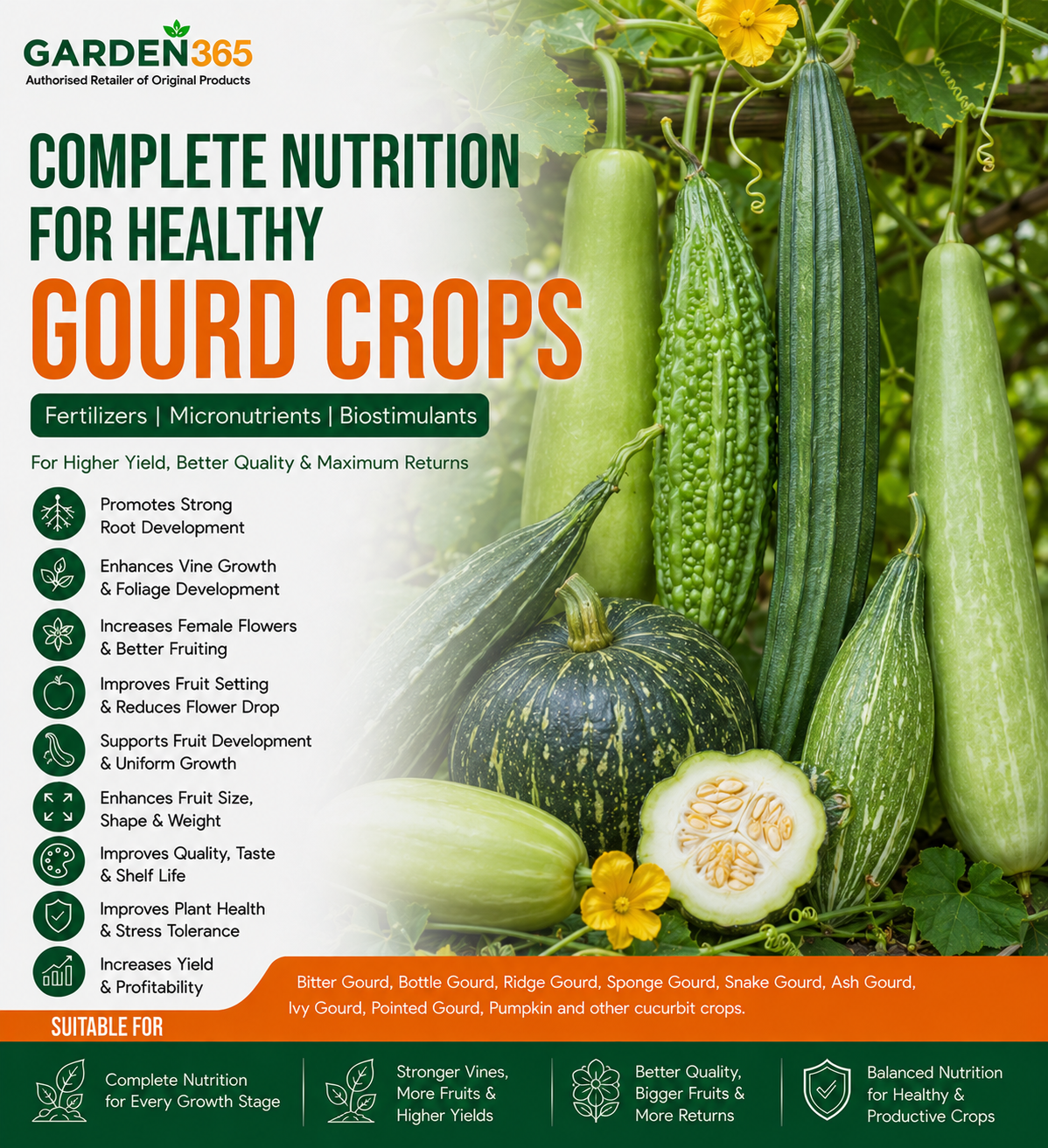 Gourd Crop Nutrition | Fertilizers, Micronutrients & Biostimulants for Gourd Crops